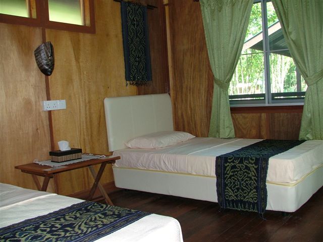 Agamid Rooms, Nature Lodge Kinabatangan
